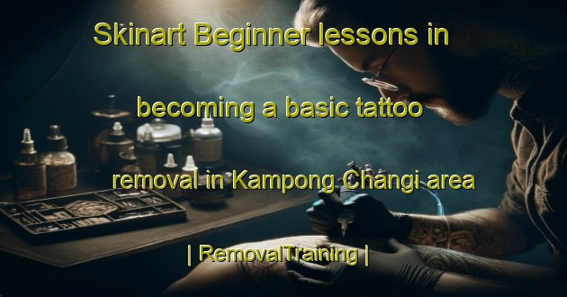 Skinart Beginner lessons in becoming a basic tattoo removal in Kampong Changi area | RemovalTraining | RemovalClasses | SkinartTraining-Singapore